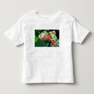 Camiseta Infantil Par de Rãs-Árvore de Olhos Vermelhos, Agalychinis