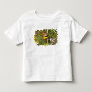 Camiseta Infantil Pardal-de-cabeça-preta (Geothlypis trichas) macho,