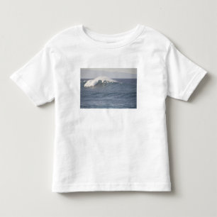 Camiseta Infantil Parque de Praia Hookipa, Costa Norte do Maui,