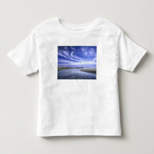 Camiseta Infantil PARQUE ESTADUAL DA PRAIA POPHAM, MAINE. EUA. Cirru