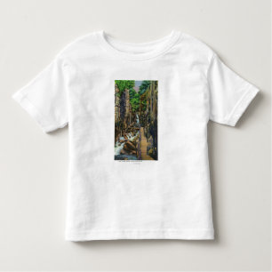 Camiseta Infantil Parque estadual do entalhe de Franconia