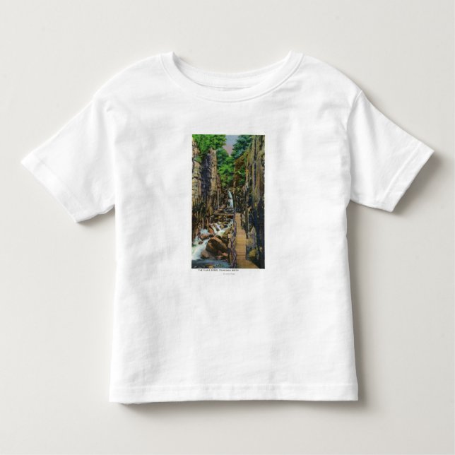 Camiseta Infantil Parque estadual do entalhe de Franconia (Frente)