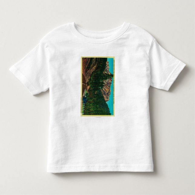 Camiseta Infantil Parque estadual dos Crags do castelo de E.U. 99 (Frente)