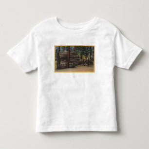 Camiseta Infantil Parque estadual grande das árvores de Calaveras