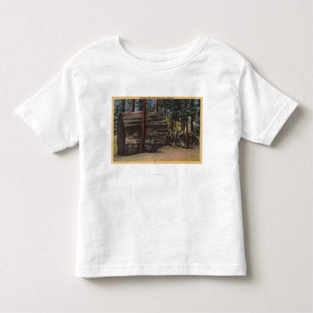 Camiseta Infantil Parque estadual grande das árvores de Calaveras (Frente)