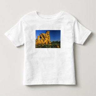 Camiseta Infantil Parque Estadual Medicine Rocks perto de Ekalaka Mo