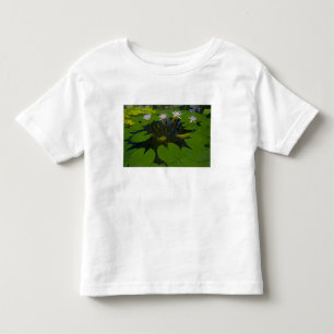Camiseta Infantil Parque Golden Gate de São Francisco Califórnia e