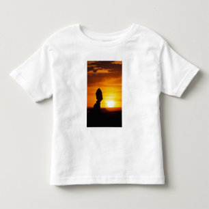 Camiseta Infantil Parque Nacional Arches, UT Balance Rock em