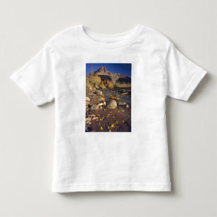Camiseta Infantil PARQUE NACIONAL CAPITOL REEF, UT, EUA, Cottonwood
