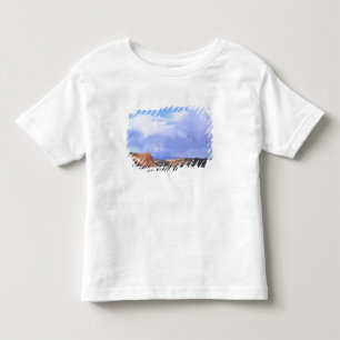Camiseta Infantil Parque Nacional Capitol Reef, Utah. EUA. Cúmulo