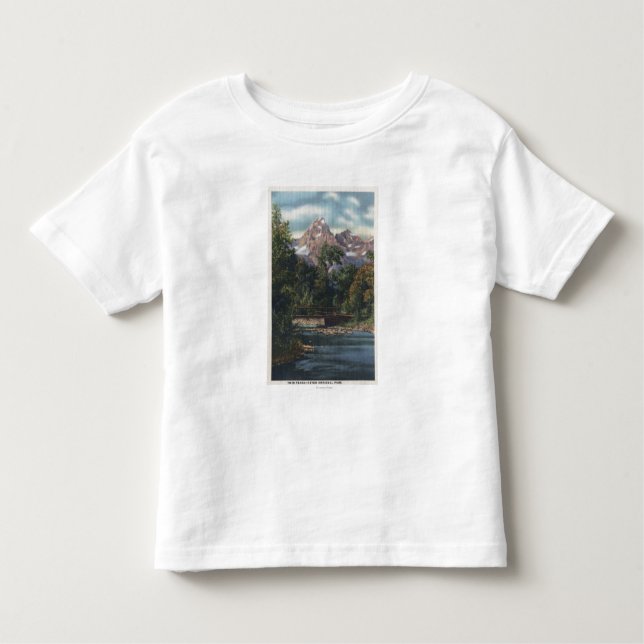 Camiseta Infantil Parque nacional de Teton, WY - opinião gêmea dos (Frente)