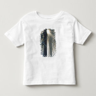 Camiseta Infantil Parque Nacional de Yosemite - Raios de sol fluindo