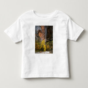 Camiseta Infantil Parque Nacional de Zion, Utah. EUA. Efêmero