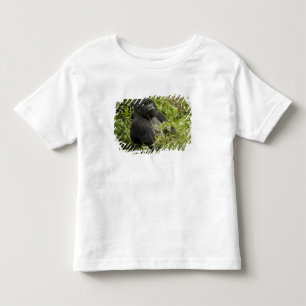 Camiseta Infantil Parque Nacional dos Vulcões, Gorila da Montanha