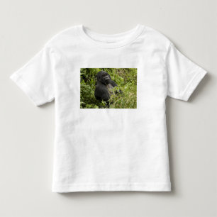 Camiseta Infantil Parque Nacional dos Vulcões, Gorila da Montanha