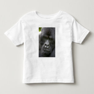 Camiseta Infantil Parque Nacional dos Vulcões, Ruanda, Gorilas da Mo