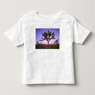 CAMISETA INFANTIL PARQUE NACIONAL JOSHUA TREE, CALIFÓRNIA. EUA.