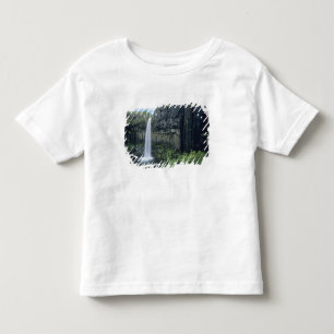 Camiseta Infantil Parque Nacional Skaftafell, cascata Svartifoss,