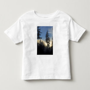Camiseta Infantil Parque Stanley, floresta, nevoeiro da camada marin