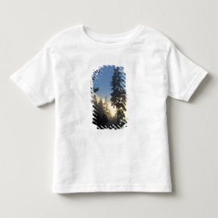 Camiseta Infantil Parque Stanley, florestas, nevoeiro da camada mari