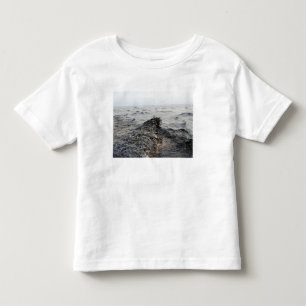 Camiseta Infantil Parte de um liso de óleo no Golfo do México