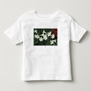 Camiseta Infantil Páscoa Lily (Lilium regale)