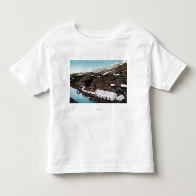 Camiseta Infantil Passagem & trem de estrada de ferro brancos de (Frente)