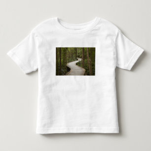 Camiseta Infantil Passarela para Nelson Falls, Franklin - Gordon