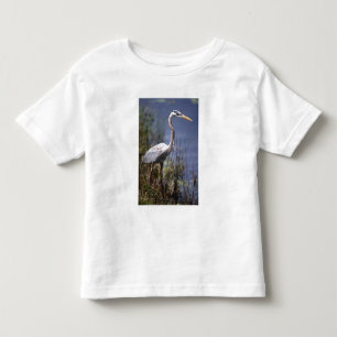 Camiseta Infantil Pássaro de água da garça-real de grande azul