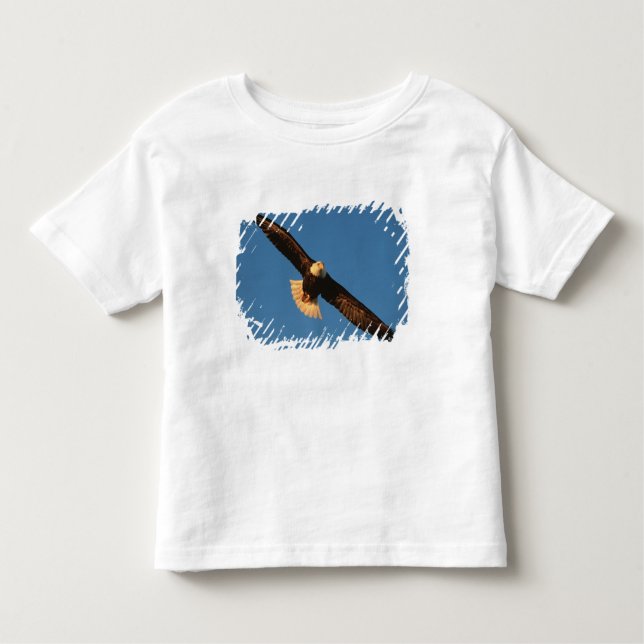 Camiseta Infantil Pássaro de presa, águia careca em voo, Kachemak (Frente)