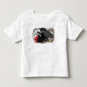 Camiseta Infantil Pássaro Frigado magnífico