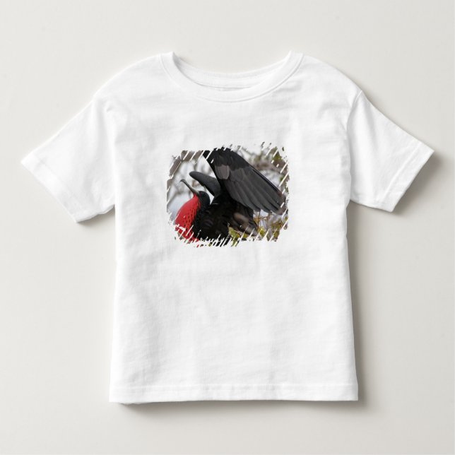 Camiseta Infantil Pássaro Frigado magnífico (Frente)