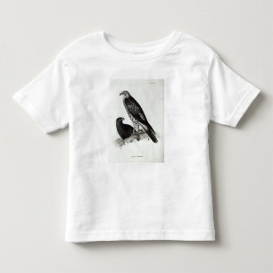 Camiseta Infantil Pássaros de rapina
