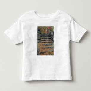 Camiseta Infantil Passos cobertos de agulhas de pinheiro, White Moun