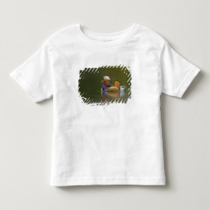 Camiseta Infantil Pato mandarim selvagem (Aix galericulata) no escur