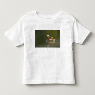 Camiseta Infantil Pato mandarim selvagem Aix galericulata) no escuro