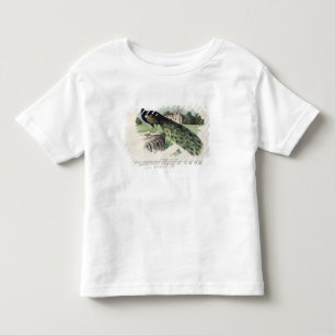 Camiseta Infantil Pavão