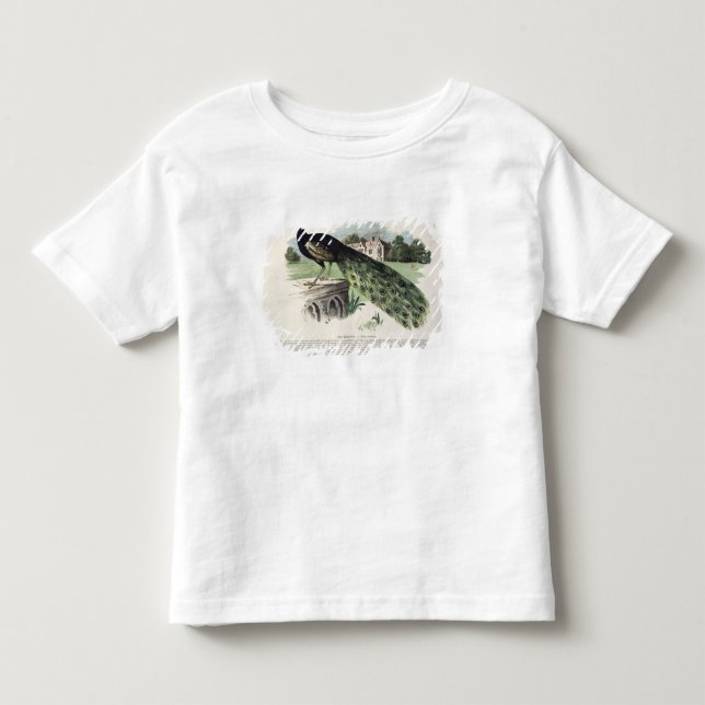 Camiseta Infantil Pavão (Frente)