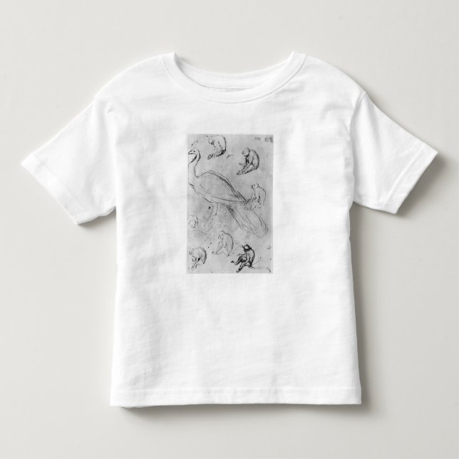 Camiseta Infantil Pavão e seis macacos (Frente)