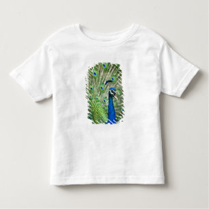 Camiseta Infantil Pavão gritando