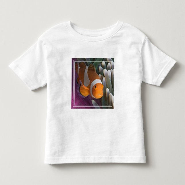 Camiseta Infantil Peixe-palhaço-ocidental (Frente)