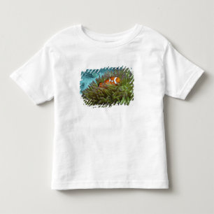 Camiseta Infantil Peixe-palhaço-ocidental ( Amphiprion ocellaris )