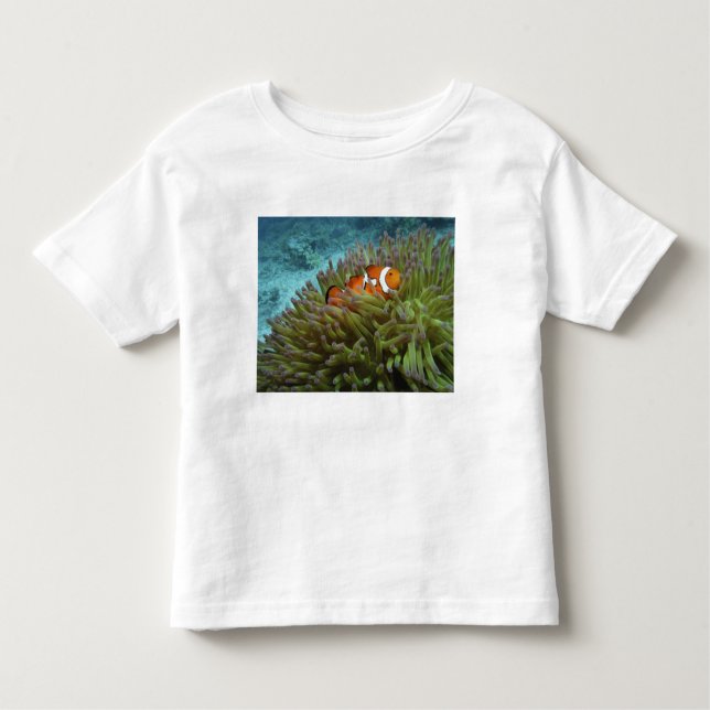 Camiseta Infantil Peixe-palheiro ocidental ( Amphiprion ocellaris ) (Frente)
