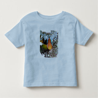Camiseta Infantil peixes do palhaço