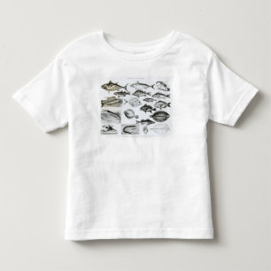 Camiseta Infantil Peixes ósseos dos ictiologias