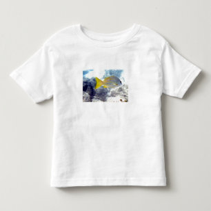 Camiseta Infantil Peixes tropicais