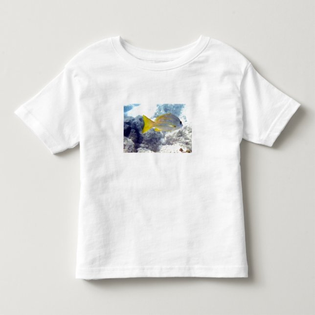 Camiseta Infantil Peixes Tropicais (Frente)
