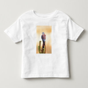 Camiseta Infantil Peneireiro-americano, Falco sparverius, Nativo dos
