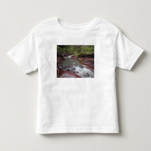 Camiseta Infantil Perda de Horse Creek no Parque Nacional dos Lagos 