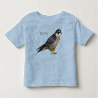 Peregrine falcon bird cartoon illustration 